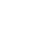 fi group